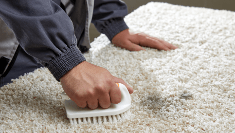 Professional Rug Cleaning Curlewis