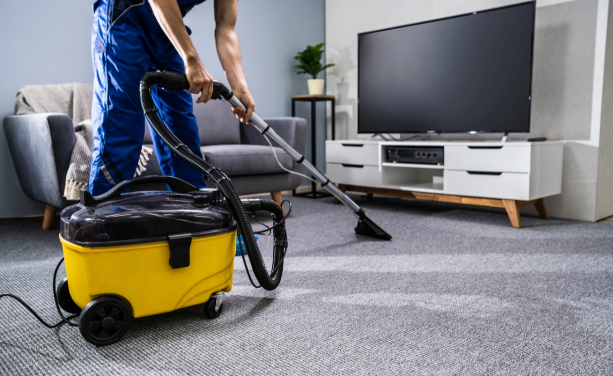 Extract Rug Cleaning Curlewis Contact Office